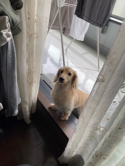 うちに遊びに来たモクちゃん。