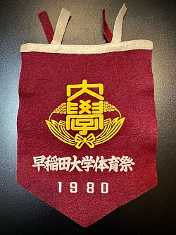 懐かしいものが出てきました。
