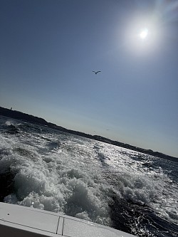 横須賀沖をViking58でクルーズ！